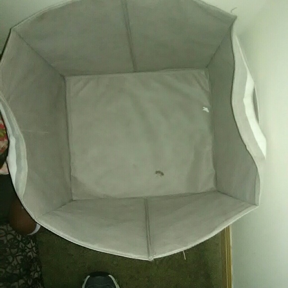 Cub - Picture 2 of 2